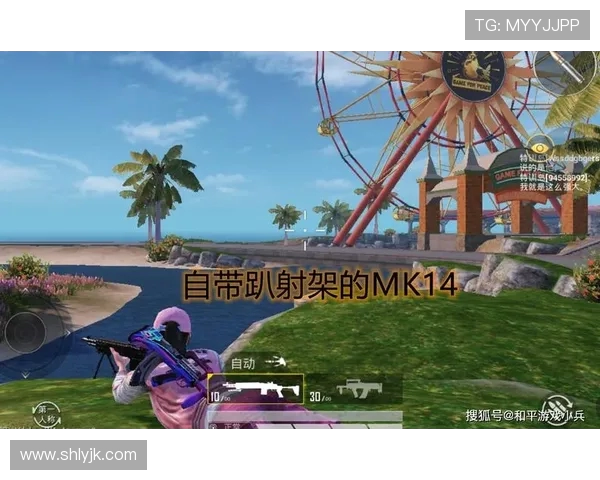 和平精英专题深度解析IG战队的战术节奏与团队协作技巧