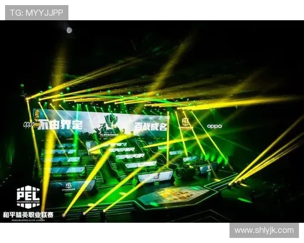 和平精英赛场热议WE战队比赛经验引发的争议与反思