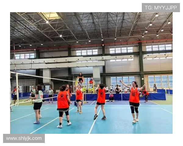 广州排球队在全国排球团队协作排行榜中荣获第九名的佳绩