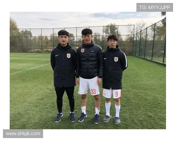 深圳足球队的崛起之路欧锦赛背后的奋斗与梦想 深圳足球队的崛起之路欧锦赛背后的奋斗与梦想