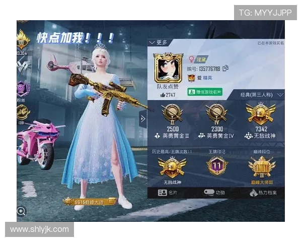 深度对话:张丽如何在和平精英中找到自我与梦想的平衡 深度对话:张丽如何在和平精英中找到自我与梦想的平衡