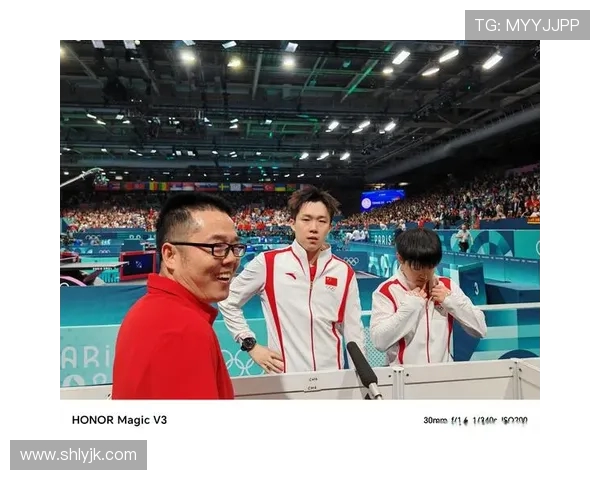 重庆排球队的崛起之路联合会杯背后的奋斗与荣耀