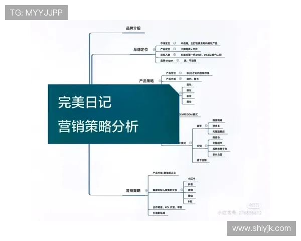 深入分析南京篮球队的运营策略与市场推广模式